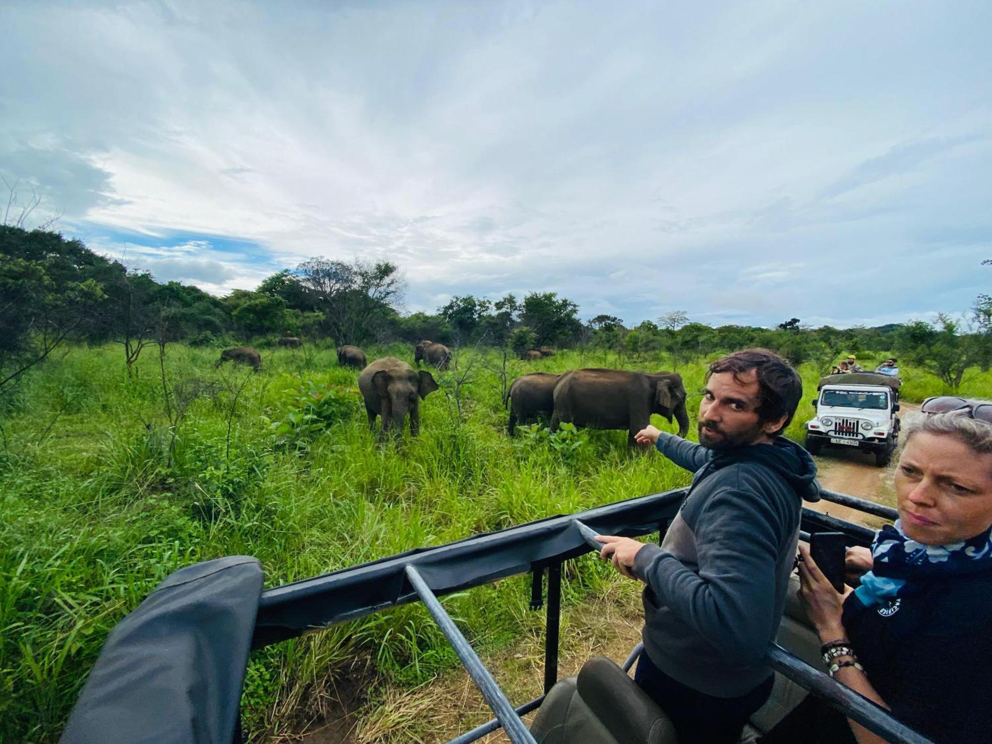 Minneriya Jeep Safari Habarana Esterno foto